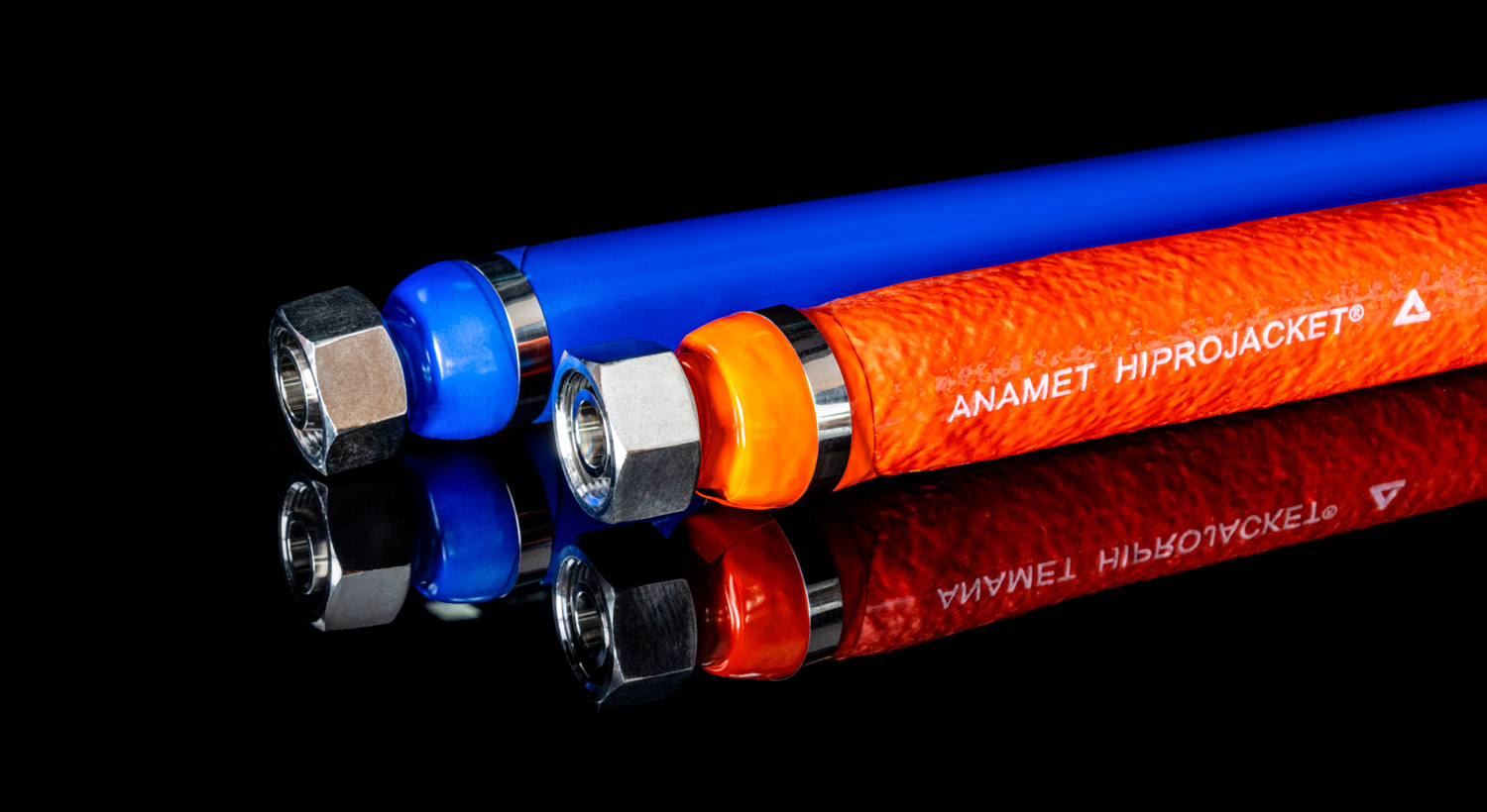 Hình ảnh Anamet Vietnam 7