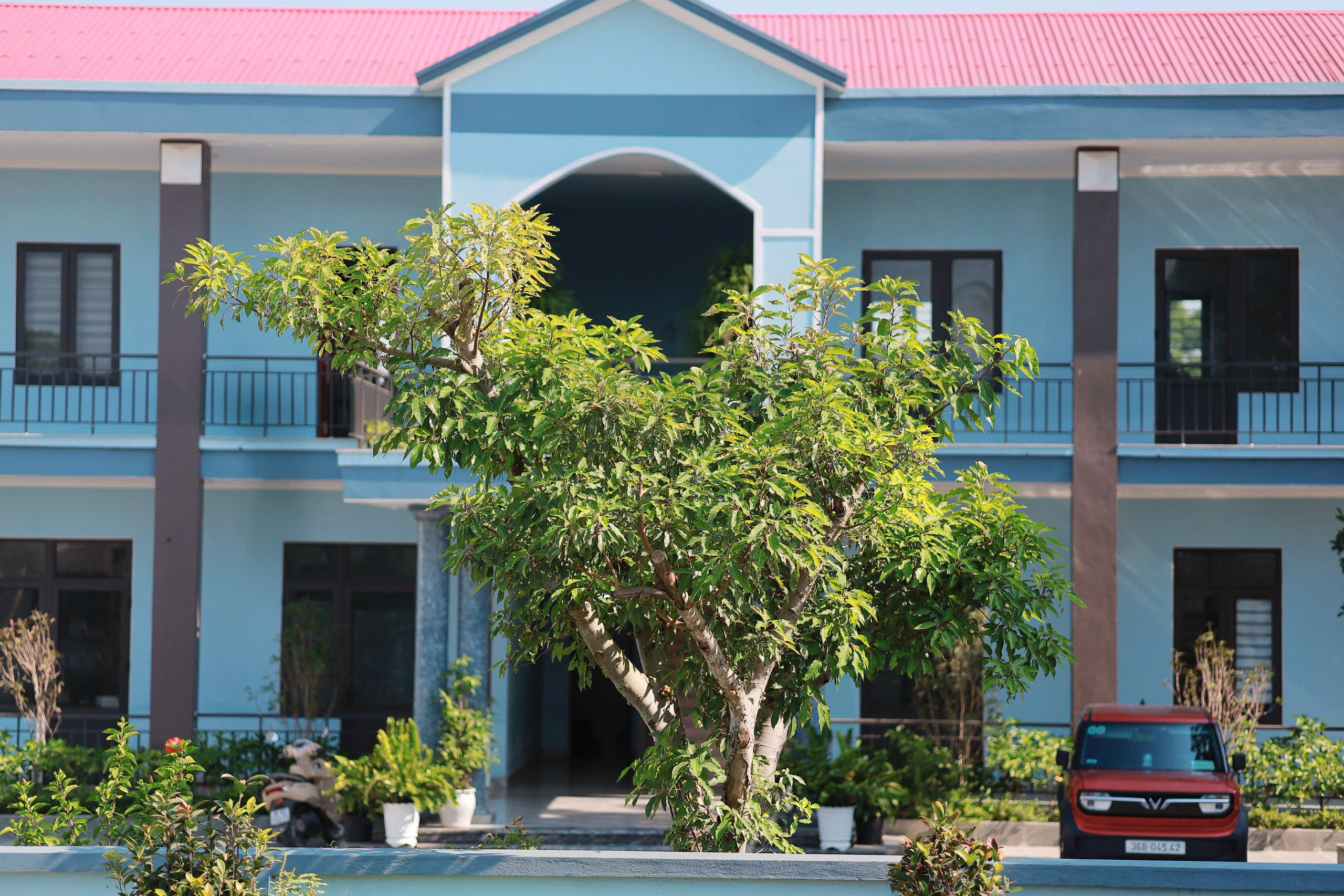 Hình ảnh Công ty Cổ phần XD&TM Đại Dương 1