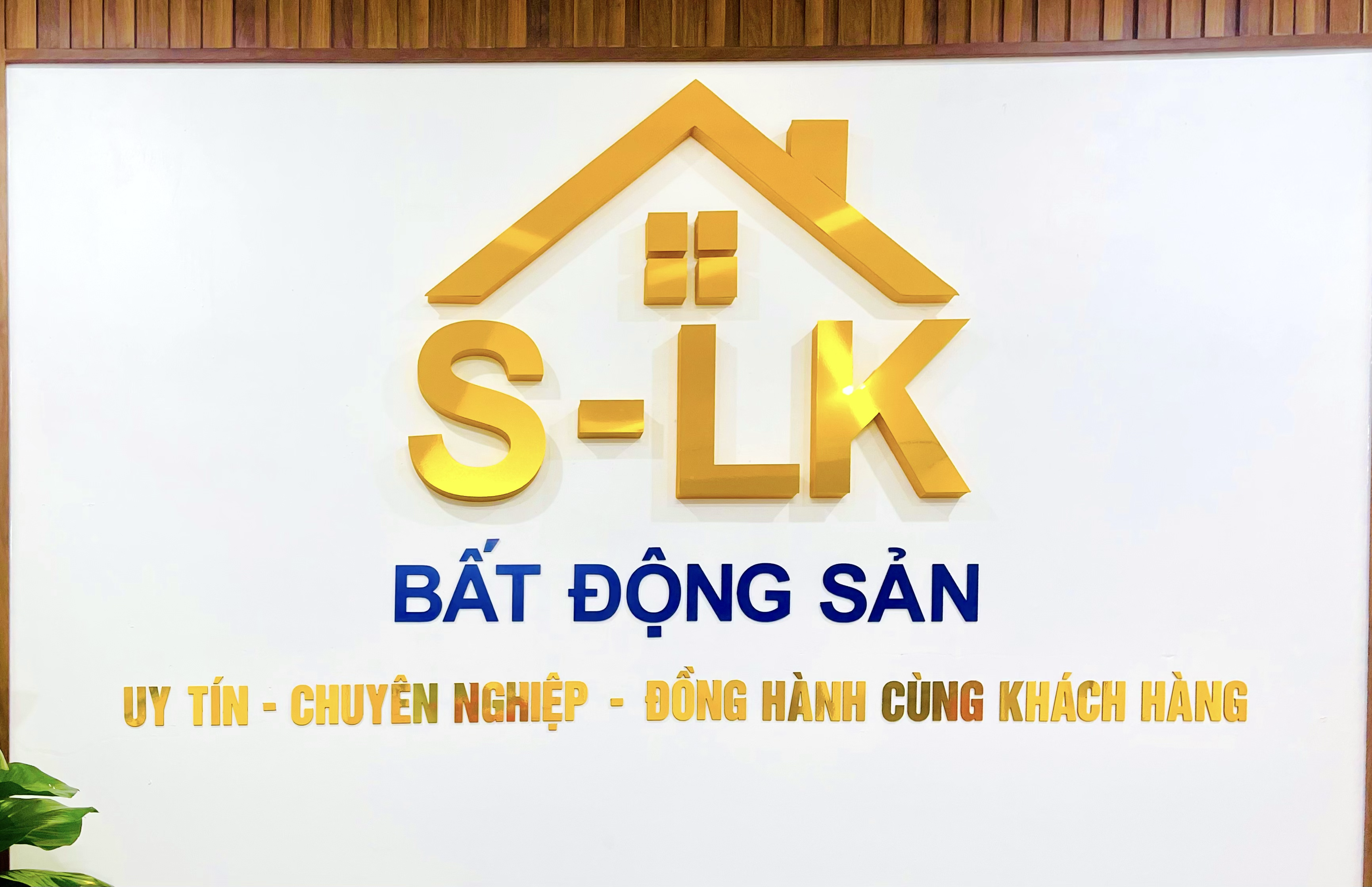 Hình ảnh CÔNG TY TNHH LIÊN TÂM ĐIỀN 1