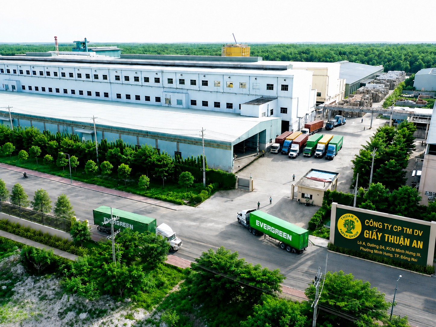 Hình ảnh CÔNG TY CỔ PHẦN THƯƠNG MẠI DỊCH VỤ GIẤY THUẬN AN 1