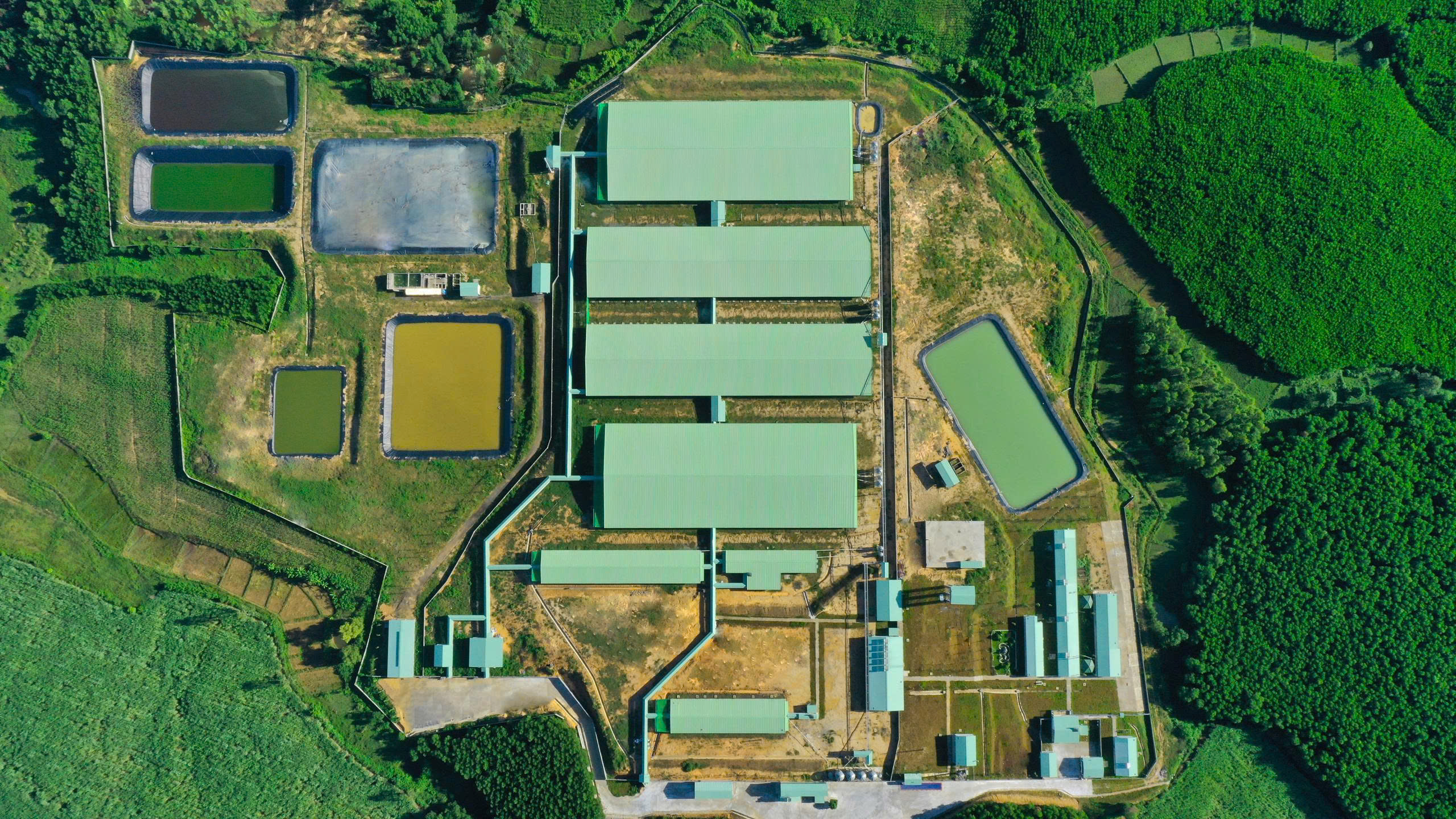 Hình ảnh BAF Việt Nam 2