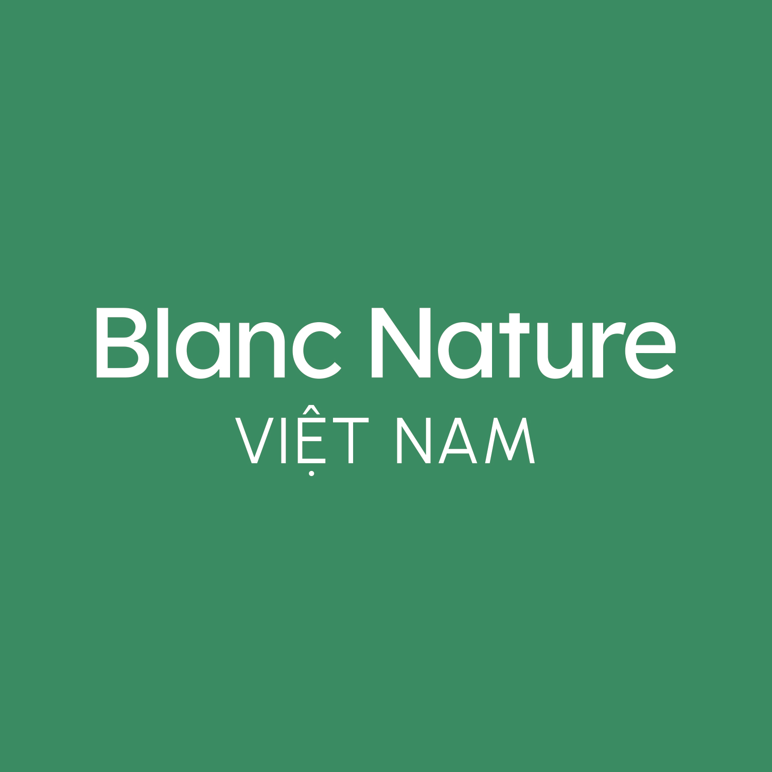 Hình ảnh CÔNG TY TNHH FITS VIETNAM 1