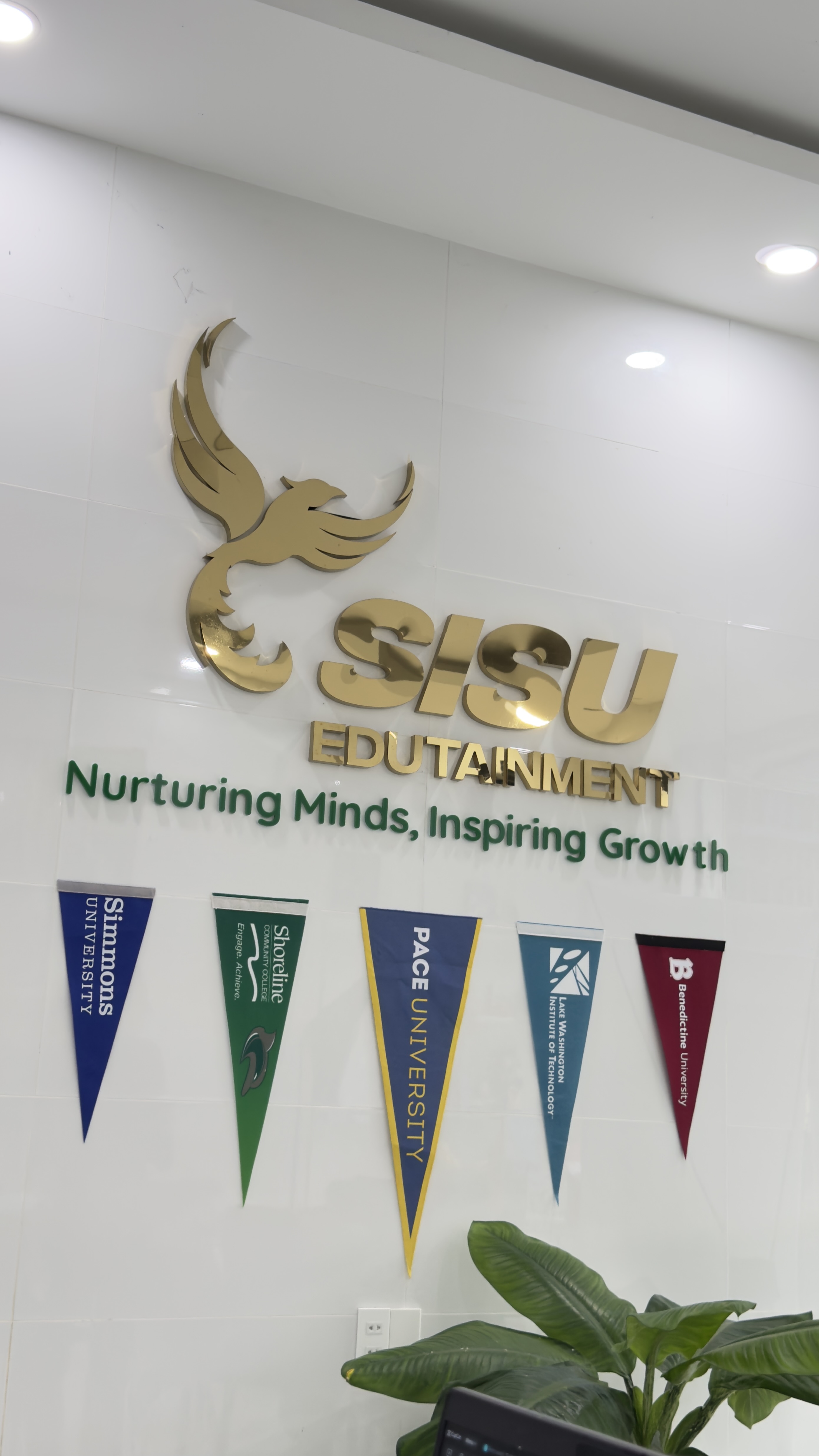 Hình ảnh CÔNG TY TNHH SISU EDUTAINMENT 3