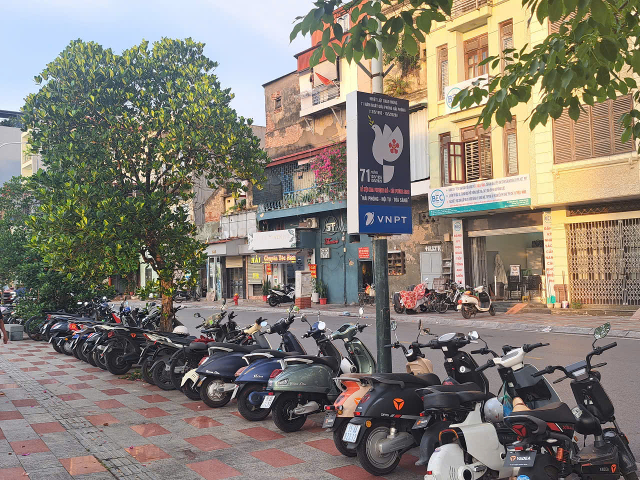 Hình ảnh Công ty TNHH Giáo Dục Thanh Long 4
