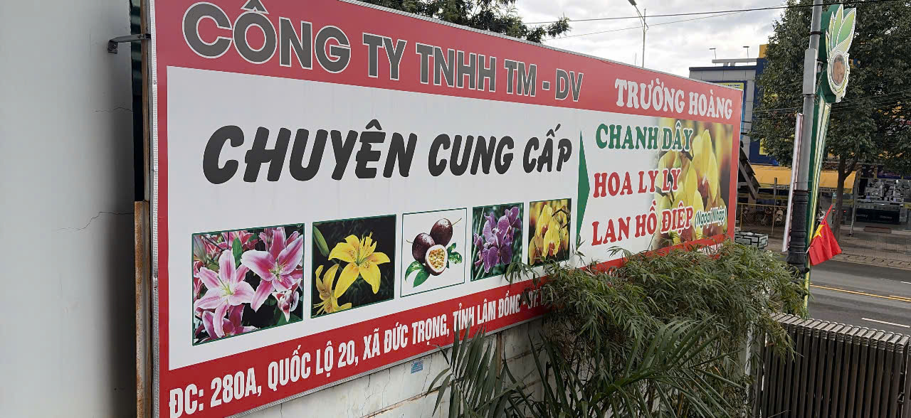 Hình ảnh CÔNG TY TNHH THƯƠNG MẠI - DỊCH VỤ TRƯỜNG HOÀNG 1