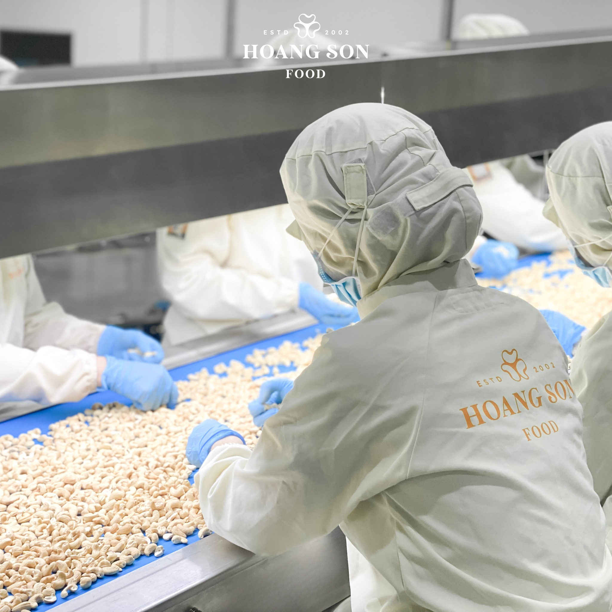 Hình ảnh CÔNG TY CỔ PHẦN CHẾ BIẾN THỰC PHẨM HOÀNG SƠN 3