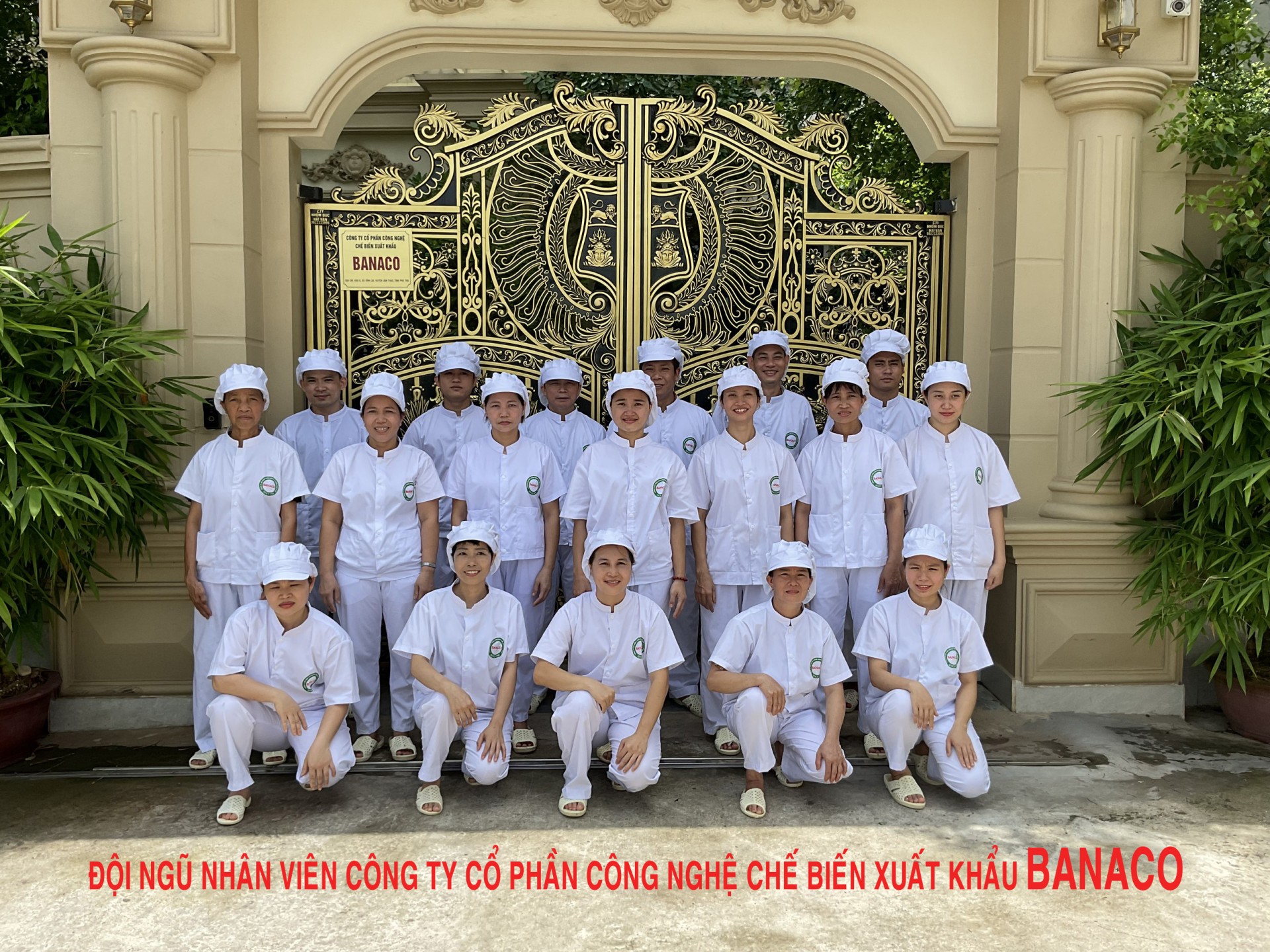 Hình ảnh CÔNG TY CỔ PHẦN CÔNG NGHỆ CHẾ BIẾN XUẤT KHẨU BANACO 2