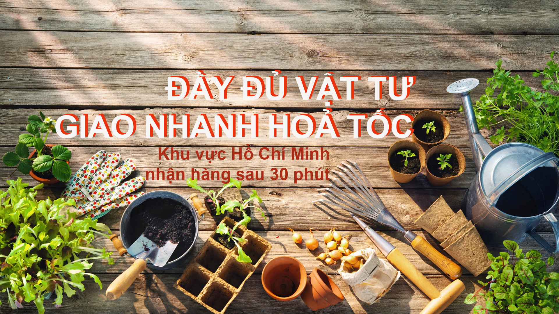 Hình ảnh CÔNG TY TNHH HOÀNG HƯNG AGRI 4
