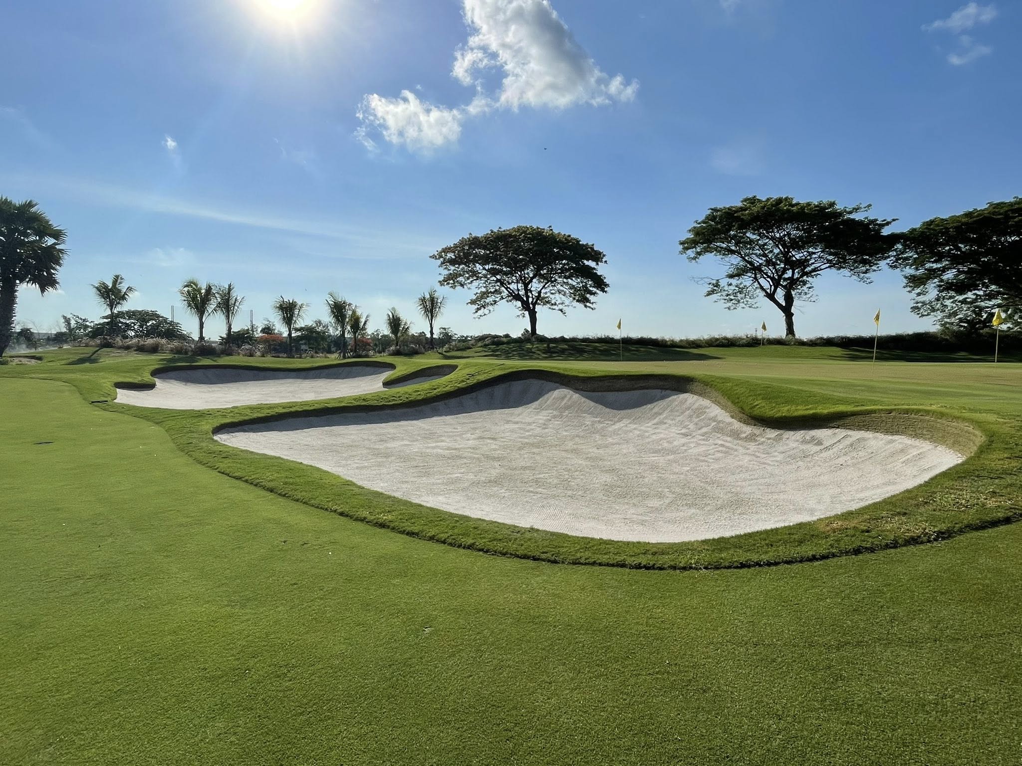 Hình ảnh CÔNG TY TNHH THƯƠNG MẠI DỊCH VỤ SPORTS TURF SOLUTIONS 3