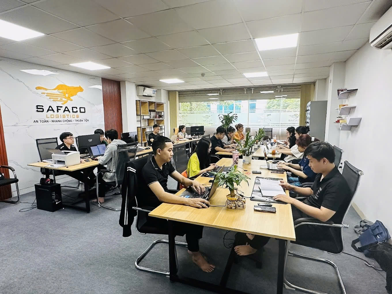 Hình ảnh CÔNG TY CỔ PHẦN XUẤT NHẬP KHẨU SAFACO 2