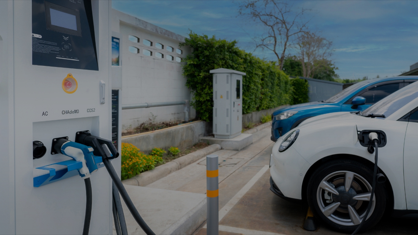 Hình ảnh CÔNG TY CỔ PHẦN GIẢI PHÁP CÔNG NGHỆ ELECSERVE 3