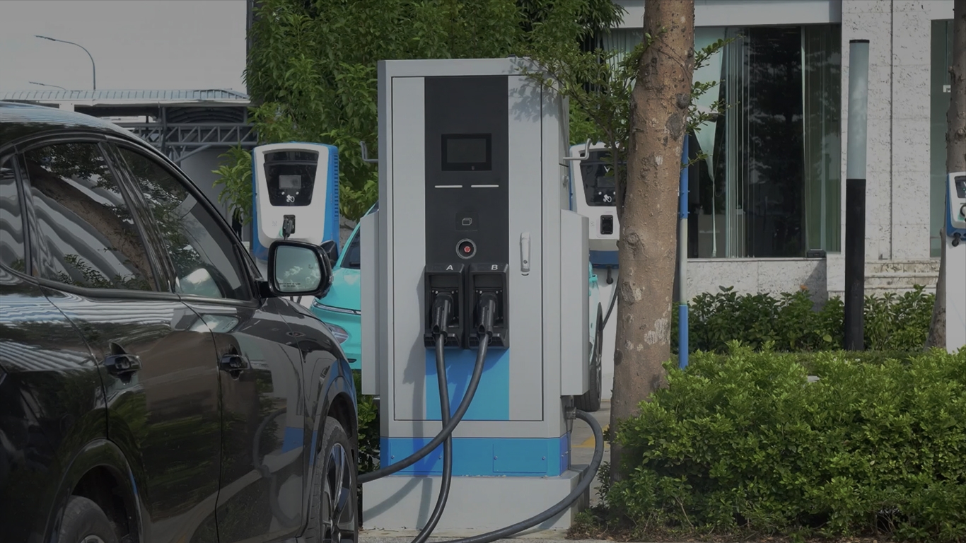 Hình ảnh CÔNG TY CỔ PHẦN GIẢI PHÁP CÔNG NGHỆ ELECSERVE 4