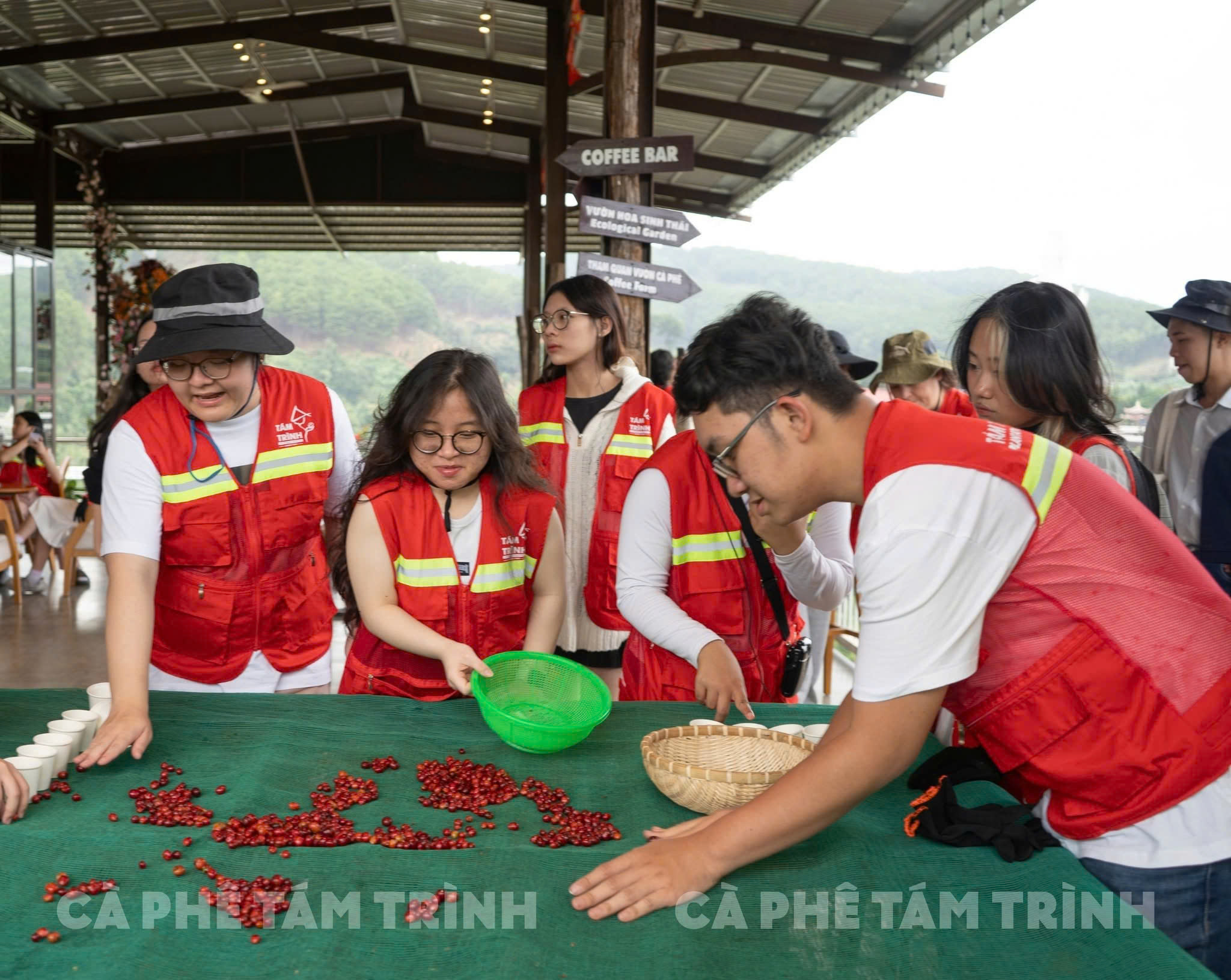 Hình ảnh CÔNG TY TNHH XUẤT NHẬP KHẨU CÀ PHÊ TÁM TRÌNH 4