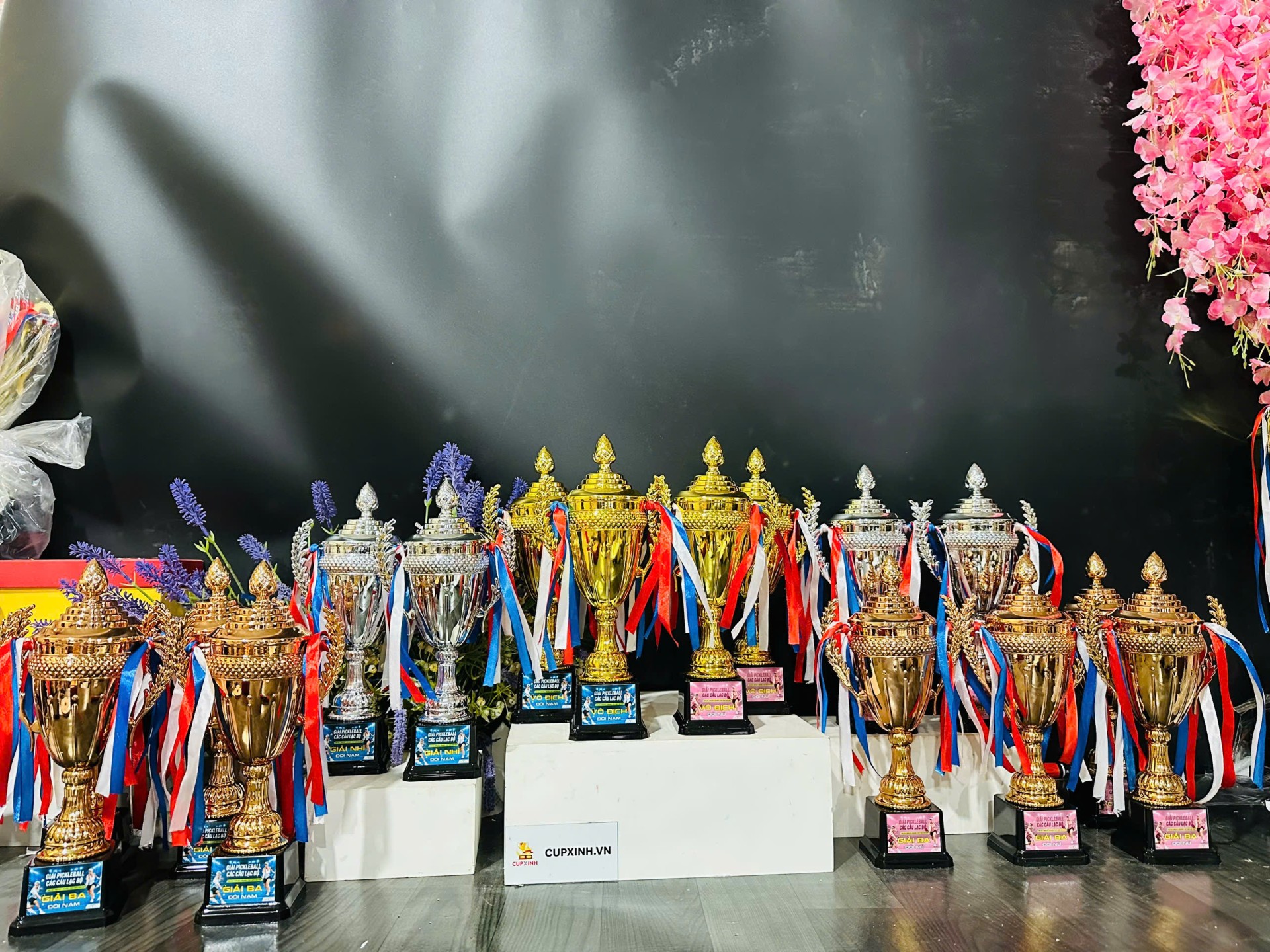 Hình ảnh CÔNG TY TNHH CUP XINH 3