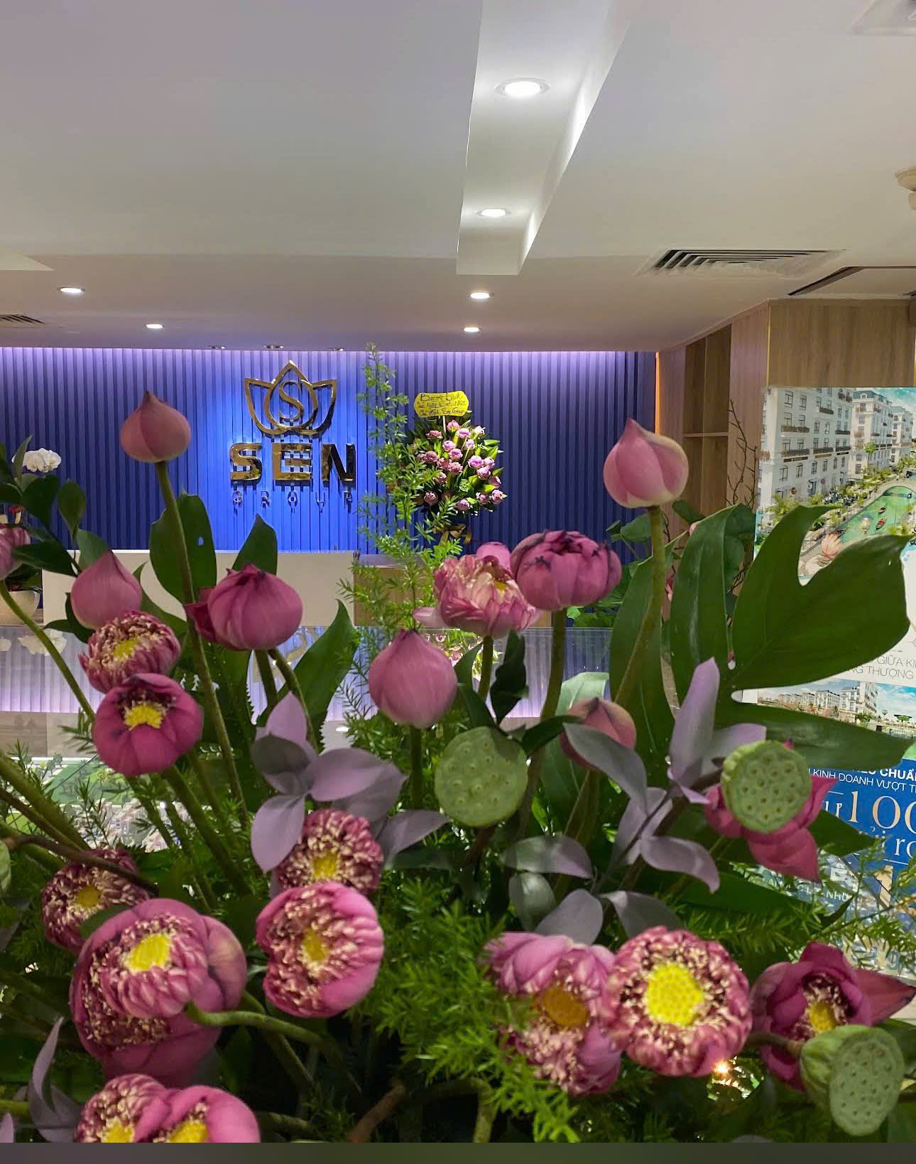 Hình ảnh CÔNG TY CỔ PHẦN TẬP ĐOÀN SENGROUP 3