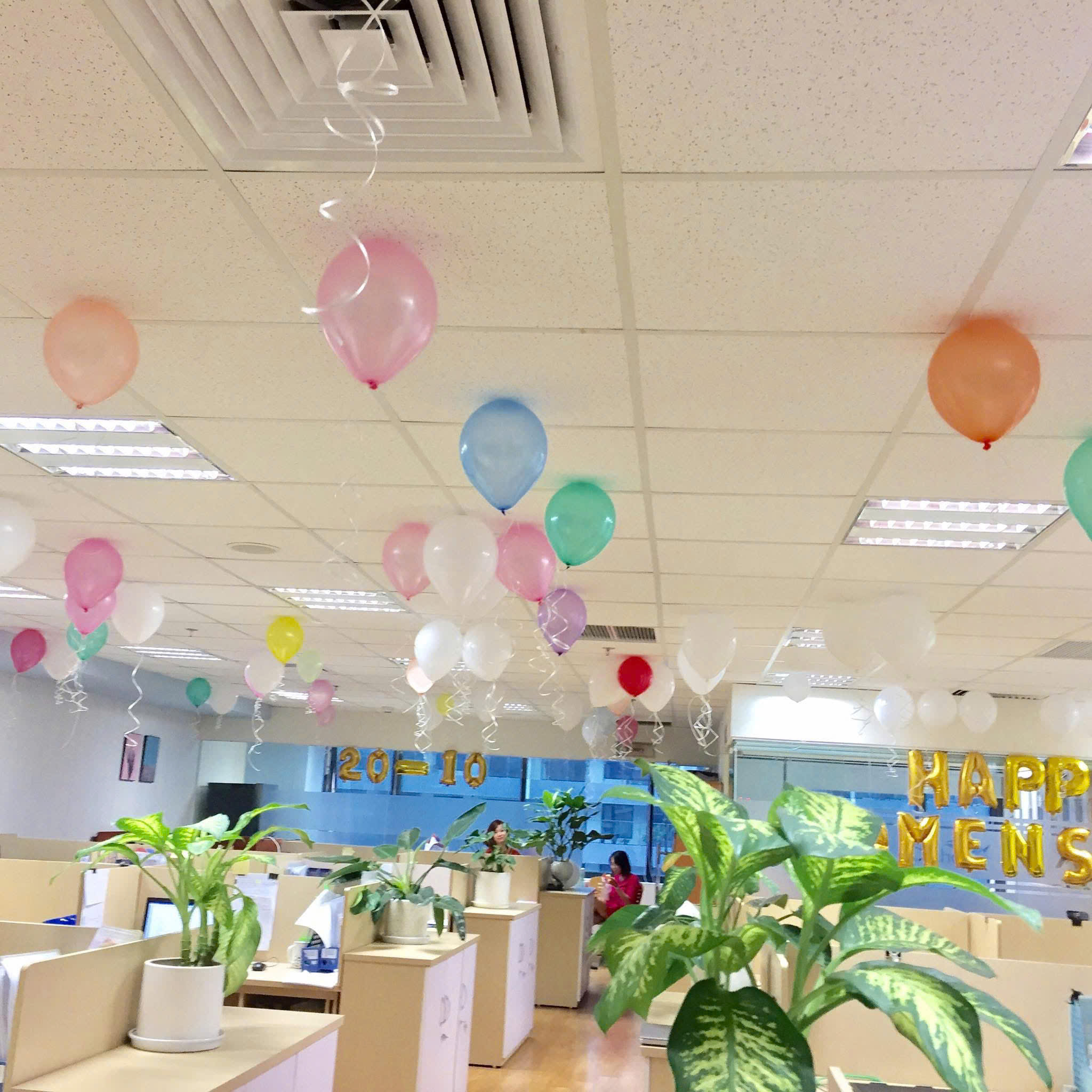 Hình ảnh CÔNG TY TNHH TƯ VẤN ĐẠI HÀ 3