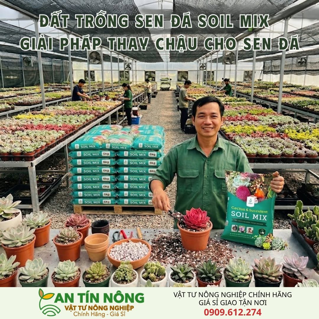 Hình ảnh CÔNG TY TNHH HOÀNG HƯNG AGRI 3
