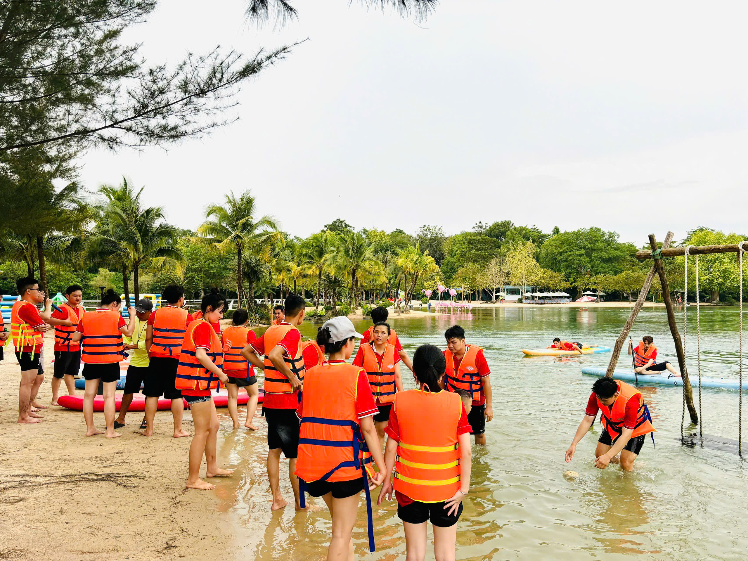 Hình ảnh CÔNG TY TNHH GIẢI PHÁP CÔNG NGHỆ SỐ VN 2
